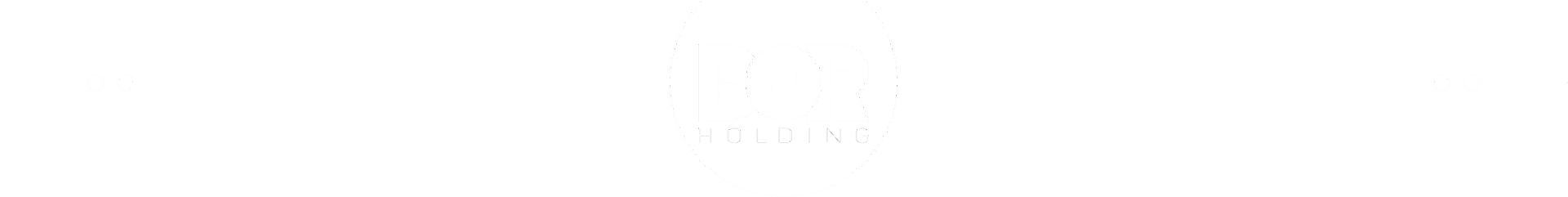 DSR Holding